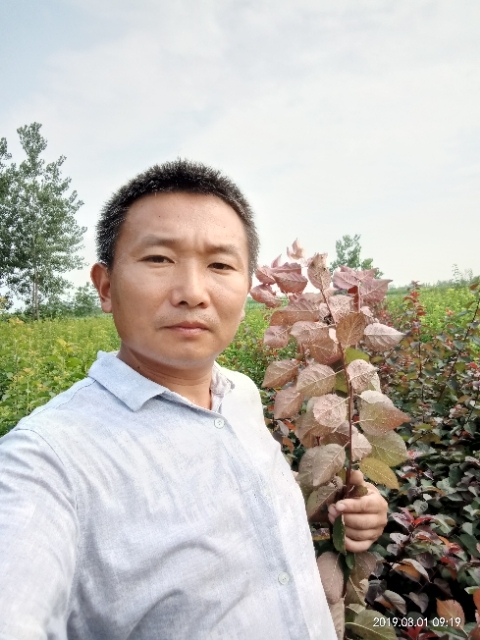 孩子爸的第二张照片--福清交友网