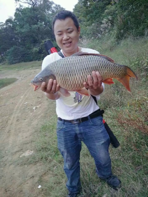 迷路的男人的第一张照片--福清交友网