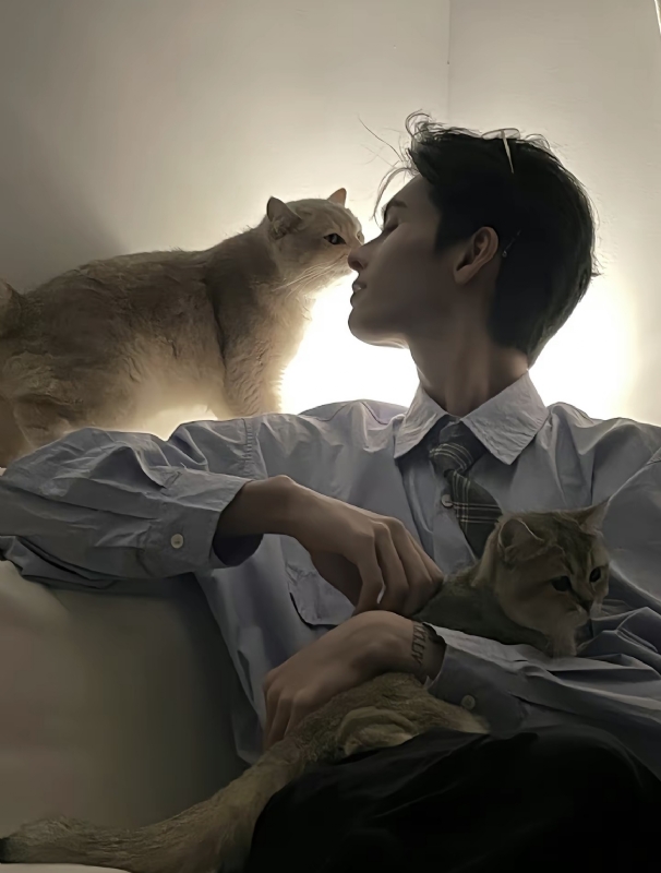 怪猫的第一张照片--福清交友网